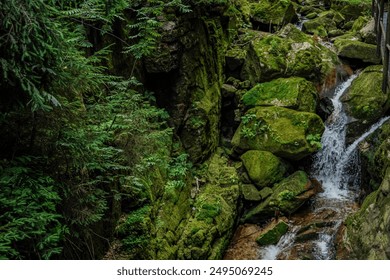 the waterfall flows and there are trees and rocks around