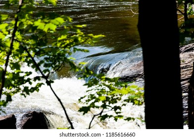 waterfall in forest