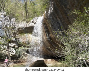 waterfall in the forest