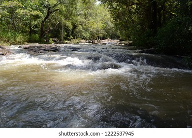 Waterfall in forest