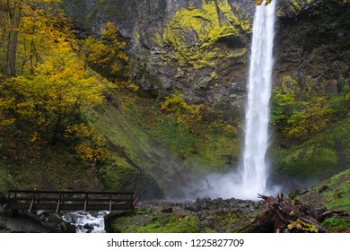 waterfall in the forest