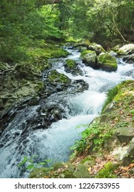 Waterfall in the Forest