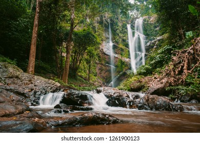 waterfall in the forest