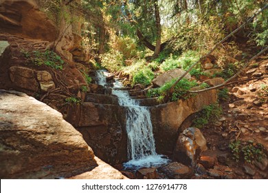 waterfall in the forest