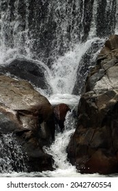 The waterfall in the forest