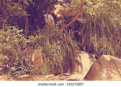 waterfall in the forest