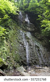 waterfall in the forest