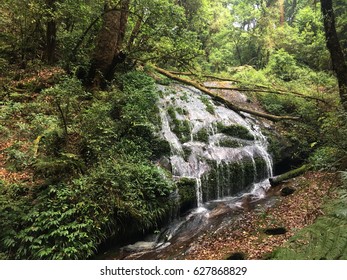 waterfall in the forest