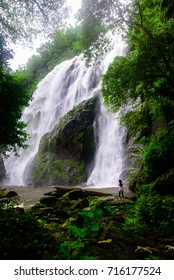 Waterfall in forest