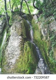 Waterfall in a forest