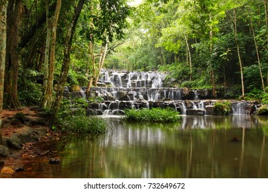 Waterfall in forest
