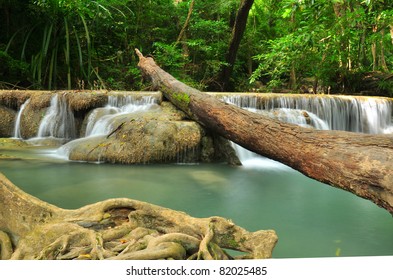 Waterfall in the Forest