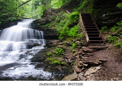 Waterfall in the Forest