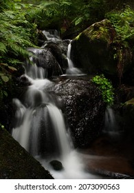 Waterfall in the forest between the stones