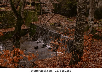 waterfall in the forest in the evening in the evening