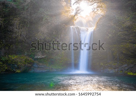 waterfall in forest, jion no taki, ohita, japan Stock photo © 