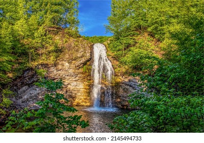 Waterfall in the forest landscape. Beautiful forest waterfall landscape. Waterfall cascade in forest. Waterfall view