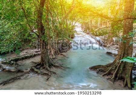 Waterfall in the forest. Natural water and landscape.