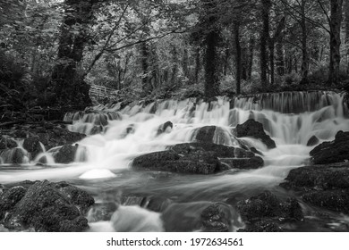 Waterfall at Forest Park in Cavan