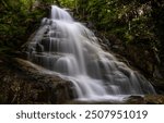 Waterfall in forest. Forest waterfall. Waterfall view. A wonderful waterfall in the forest