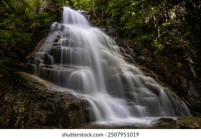 Waterfall in forest. Forest waterfall. Waterfall view. A wonderful waterfall in the forest - Powered by Shutterstock