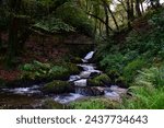 Waterfall in the forest. Woodstock waterfall, Woodstock Arboretum and Gardens, Inistioge, County Kilkenny, Ireland