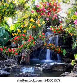 Waterfall In Garden