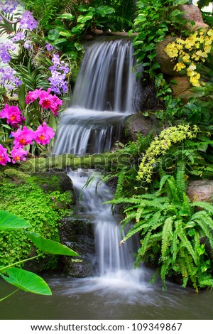 Waterfall in garden