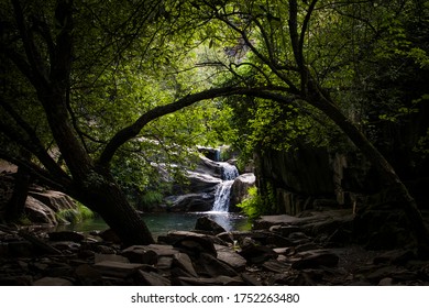 Waterfall going down a stream in the middle of a scenic forest with magic light coming through the green tree leaves