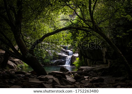 Waterfall going down a stream in the middle of a scenic forest with magic light coming through the green tree leaves