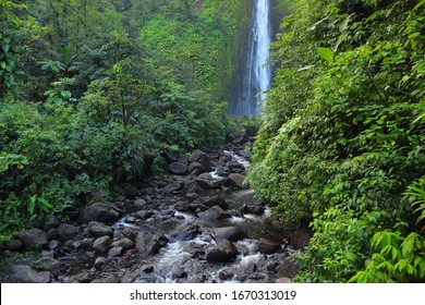 Guadeloupe Bilder Stockfotos Und Vektorgrafiken Shutterstock