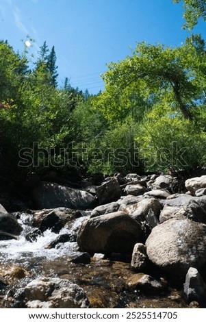 Waterfall at Guanella Pass Colorado