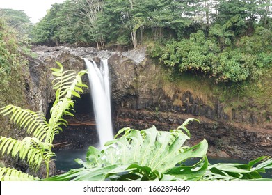 Waterfall Hawaii Trees Plants Kona