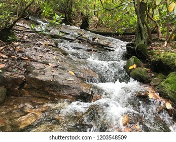 Waterfall Hickory Run State Park