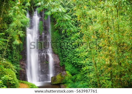 Waterfall hidden in the tropical jungle. Bamboo