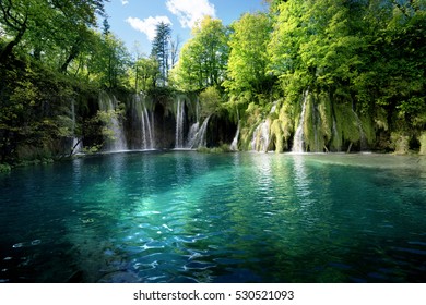 Waterfall Inforest,  Plitvice, Croatia