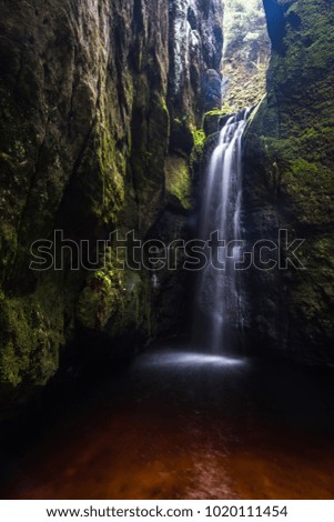 Similar – Image, Stock Photo Walk in the Innaue Nature