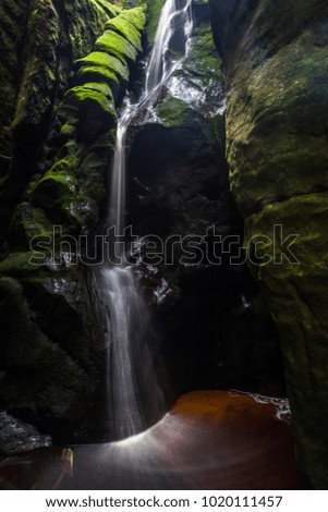 Similar – Image, Stock Photo Walk in the Innaue Nature