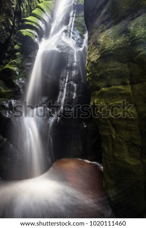 Similar – Image, Stock Photo Walk in the Innaue Nature