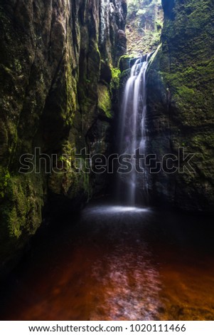 Similar – Image, Stock Photo Walk in the Innaue Nature