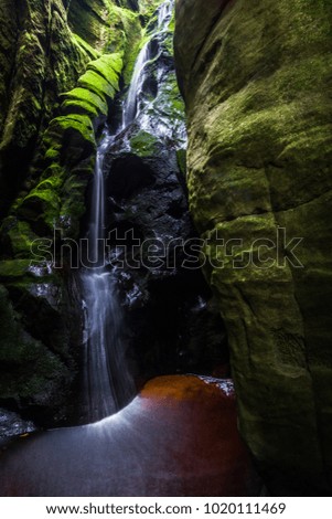 Similar – Image, Stock Photo Walk in the Innaue Nature