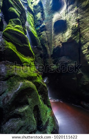Image, Stock Photo Walk in the Innaue Nature