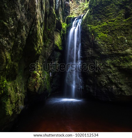 Similar – Image, Stock Photo Walk in the Innaue Nature