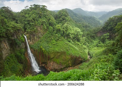 Waterfall In Juan Castro Blanco, National Park, Costa RIca