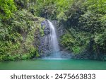 Waterfall of the jump of the gendarme on the track road, in Martinique, French Antilles.	