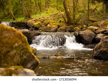 Waterfall In The Little Brook