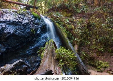 Waterfall In Mendocino. Northern California Redwoods. . High Quality Photo