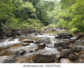 waterfall in the middle of the forest