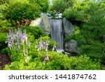 Waterfall at the Missouri Botanical Gardens with Beautiful Purple Flowers in the Foreground