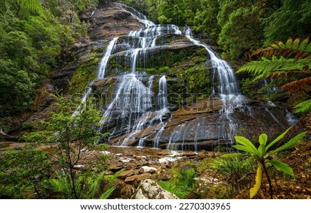 Waterfall in the mountain forest. Forest waterfall. Mountain waterfall in green forest. Waterfall in green forest